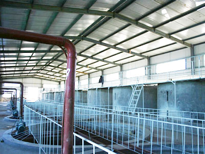 点击查看详细信息标题：淀粉沉淀 阅读次数：6384